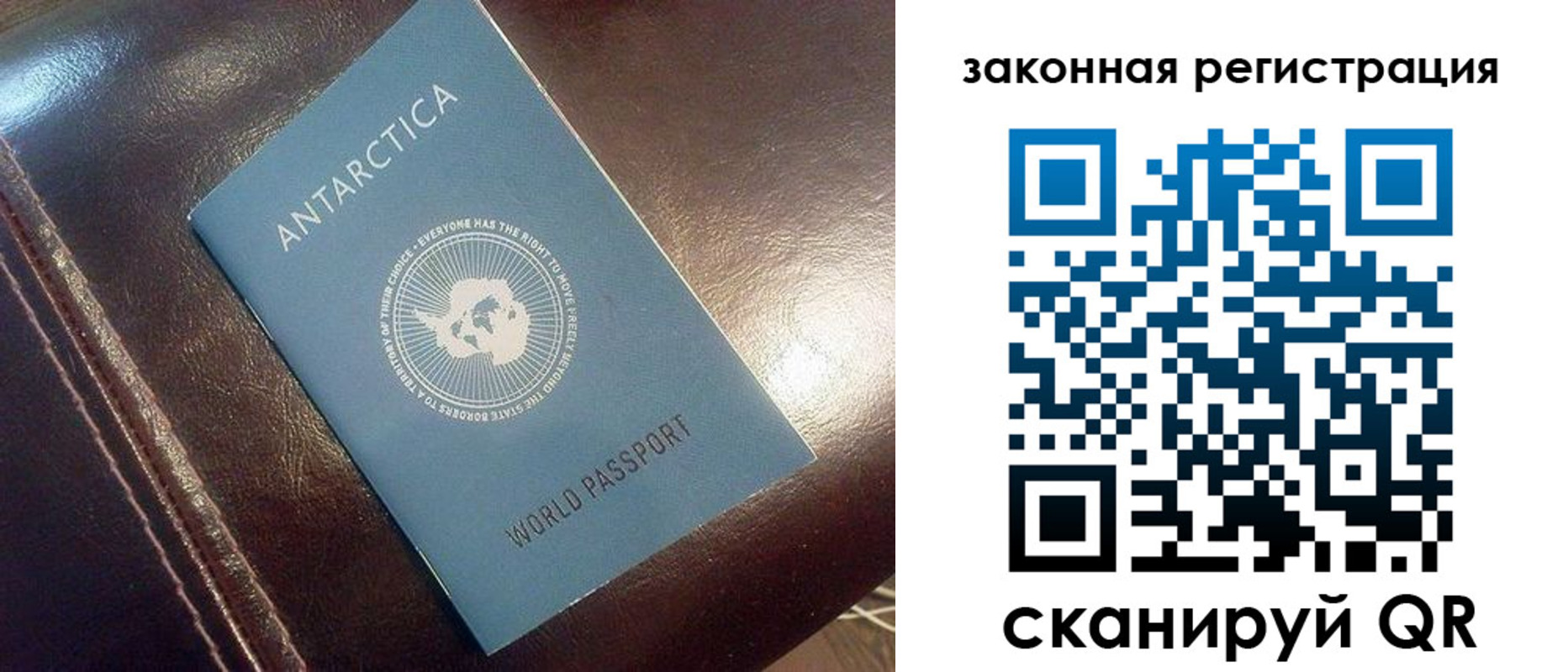 временная регистрация поиск в Жукове